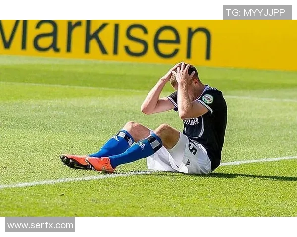 汉堡对比勒费尔的精彩对决分析与赛前展望