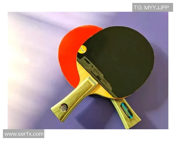 乒乓球爱好者必看：全面解析训练器材选购指南与推荐