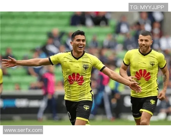 惠灵顿凤凰主场迎战墨尔本胜利期待激烈对决与精彩表现