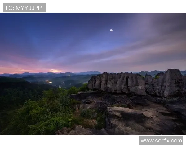 月光下的对话月影中的思考月的轮回与心灵的碰撞
