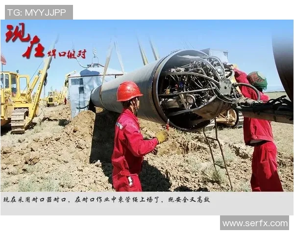 对话杨伟：回顾乒乓球生涯的辉煌与挑战之路